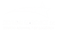 Skyline Logistics | Logística Industrial y Comercio Exterior